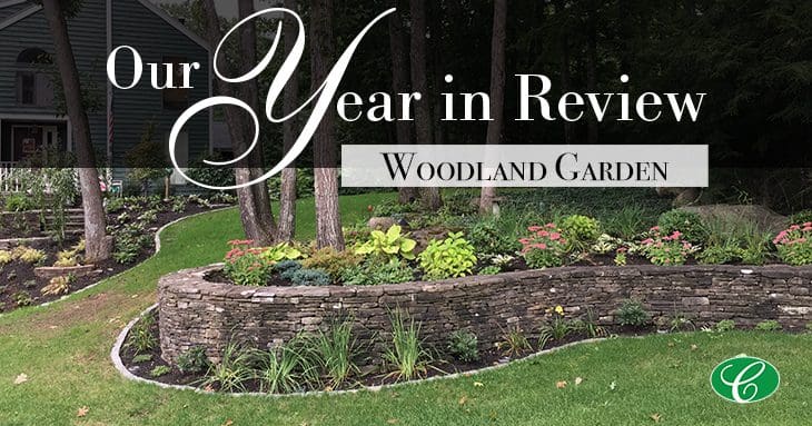 woodland wall with flowers