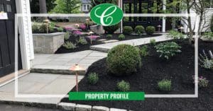 New bluestone and granite patio