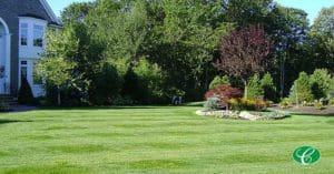 Side Yard of a house with well-manicured lawn