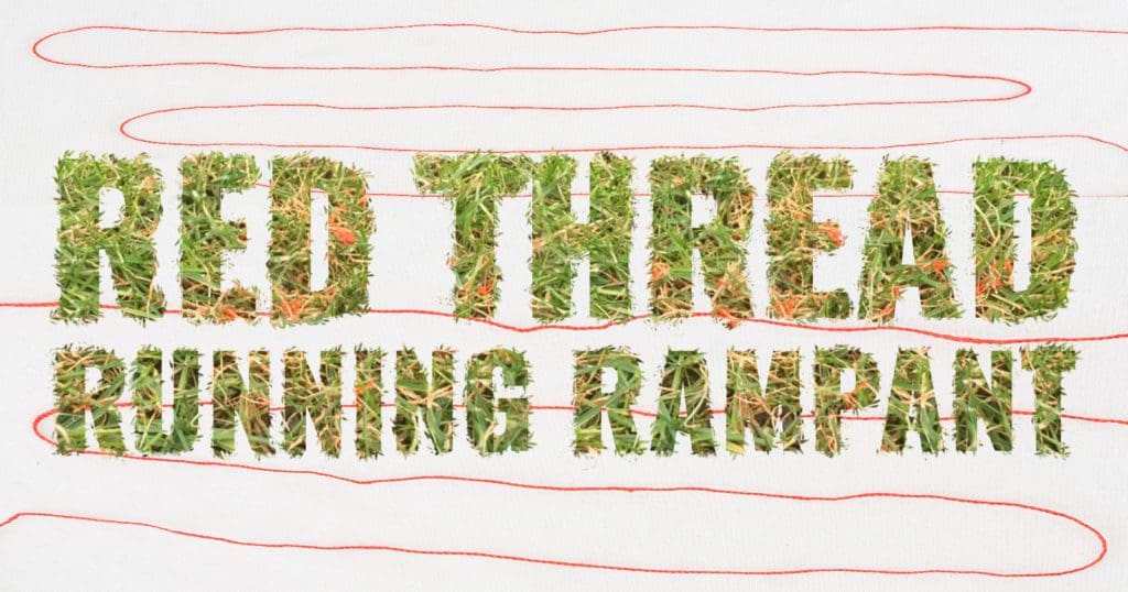 RED THREAD RUNNING RAMPANT