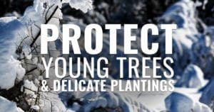 Protect Your Landscape