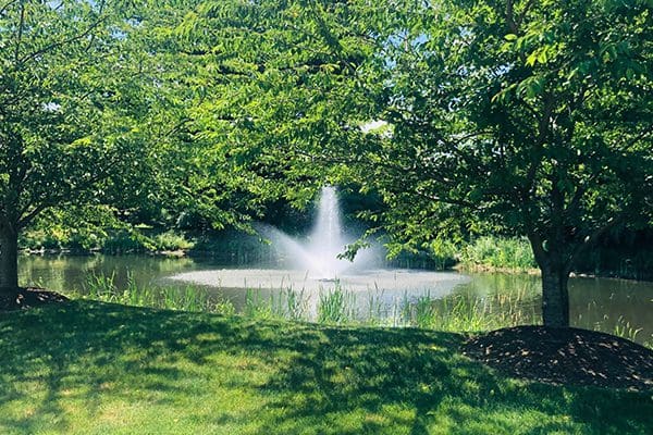 600x400-English-Commons-fountain