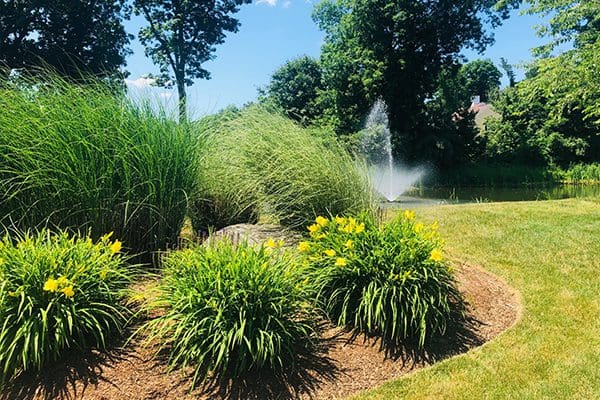 600x400-English-Commons-fountain2