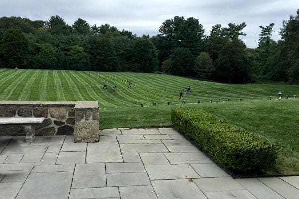 600x400-lawn-care-wedding