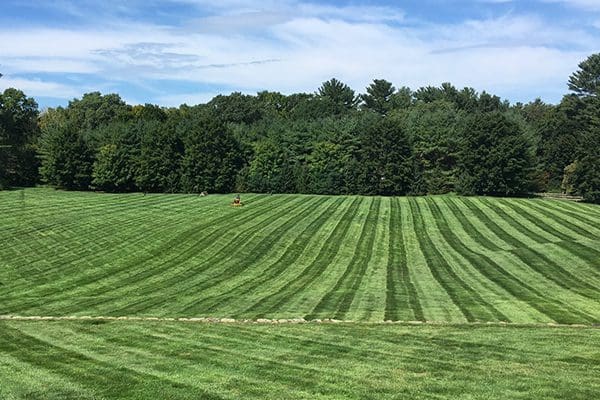 600x400-lawn-care-wedding2