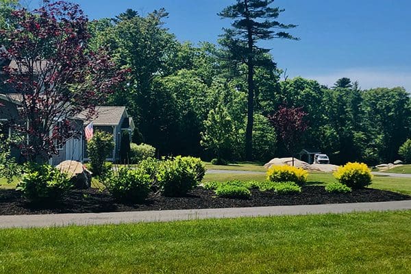 600x400-magnolia-shores-street-view