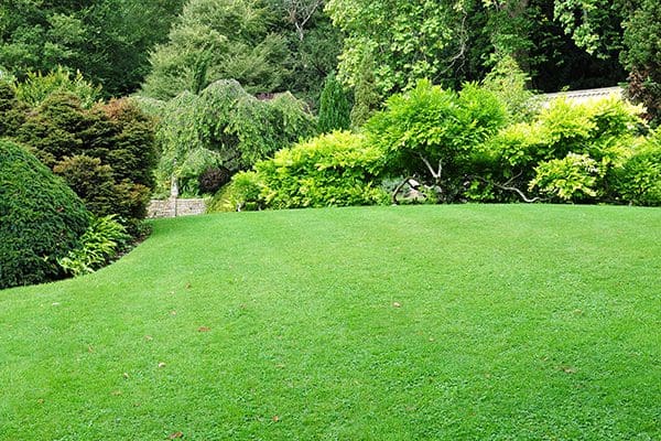 600x400-plant-health-care6