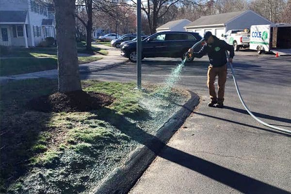 600x400-team-lawn-care-application