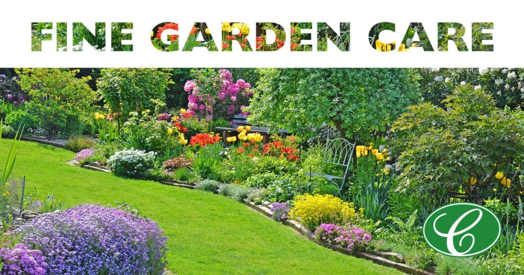 FIne garden with beautiful lawn, trees and perennials