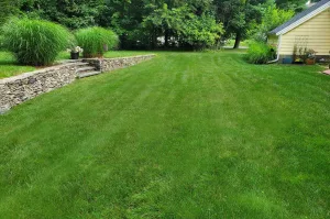 Close up of lawn & landscape