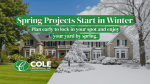 Spring Projects Start in Winter