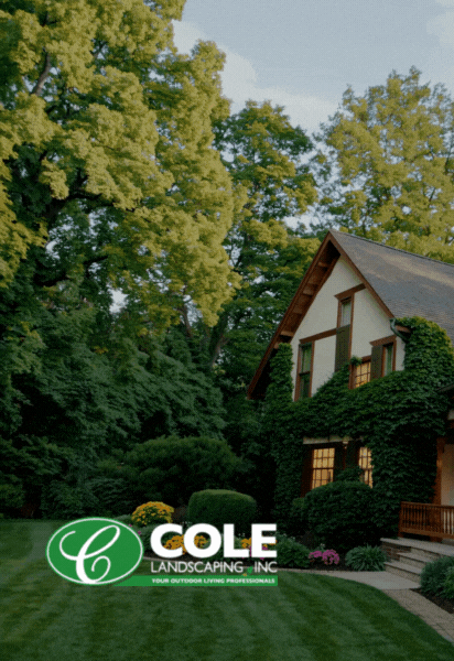 Plan Spring Landscaping Early