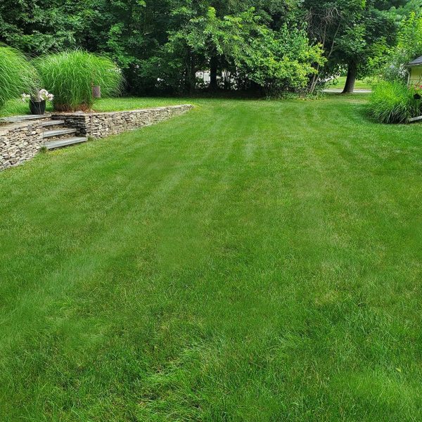 Close up of lawn & landscape