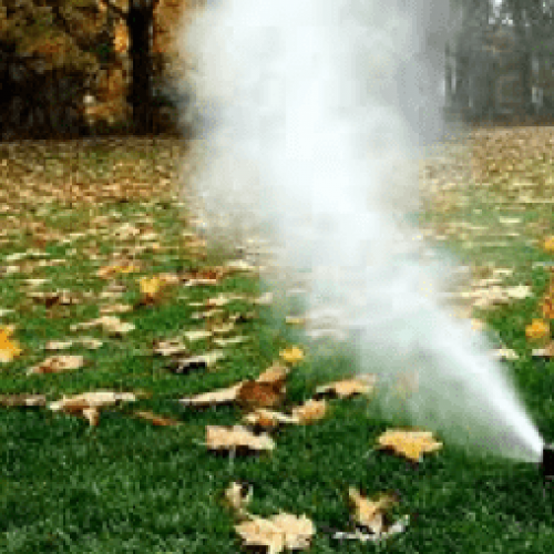 sprinkler-blo-out